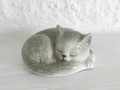Kleine graue schlafende Katze vintage 6