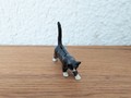 Miniature schwarze Katze mit weissen Pfoten I