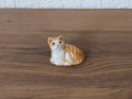Miniatur rot getigerte Katze mit weiss 