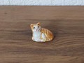 Miniatur rot getigerte Katze mit weiss