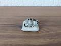 Miniatur Katze mit Kätzchen auf Kissen