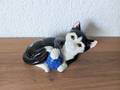 Schwarz-weisse Katze Staffordshire Just Cats & Co