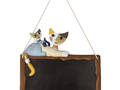 Rosina Wachtmeister Willkommens - Türschild Katzen Accomodati pure!