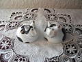 Salz & Peffer Katzen von Villeroy & Boch