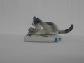Miniatur Katze mit Maus auf einem Buch liegend