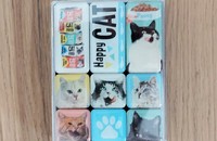 9 Magnete Happy Cat Nostalgie Kollektion