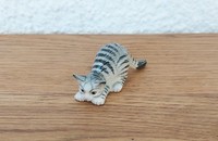 Miniature grau getigerte Katze mit rundem Buckel III