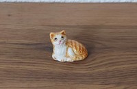Miniatur rot getigerte Katze mit weiss 