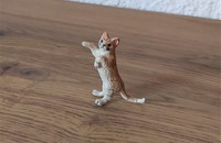 Miniatur Katze rost stehend