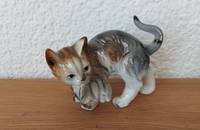 Grau-braun getigerte Katze mit Kätzchen