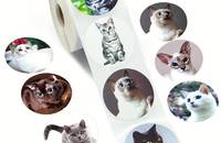 500 Stück Katzen-Porträts Aufkleber