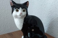 Staffordshire grosse Katze schwarz weiss Just Cats & Co, chat