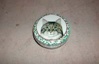 Weihnacht Kleine Blechdose mit Katzenporträt