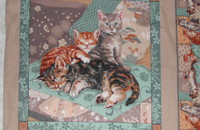 Stoff für Dekorationskissen mit 3 niedlichen Kätzchen