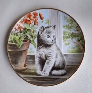 Produktübersicht (ESC-Taste, um das Fenster zu schließen)