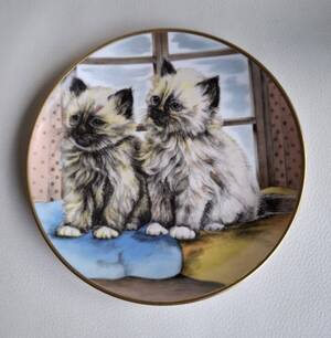 Produktübersicht (ESC-Taste, um das Fenster zu schließen)