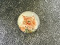 Magnet aus Glas Katze VI