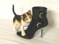 Katze mit schwarzer Stiefelette