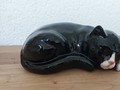 Schwarze Katze mit weissen Pfoten und Nase