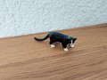 Miniatur schwarze Katze mit schwarzen Pfoten II