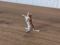 Miniatur Katze rost stehend