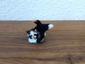 Kleine schwarz-weisse Katze aus Fell