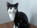 Staffordshire grosse Katze schwarz weiss Just Cats & Co, chat