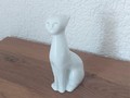 Weisse moderne Katze sitzend II