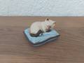 Kleine Siameser-Katze auf einem Kissen