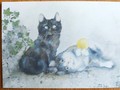 Kunst Postkarte Katzen Dédé Moser Un rotol de lana