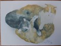 Kunst Postkarte Katzen Dédé Moser La mama e i so pinin