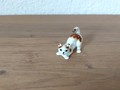 Katze Miniatur weiss mit braun