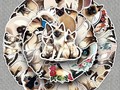 50 Aufkleber Siameser Katzen