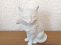 Weisse Katze mit Masche Gerold Kueps