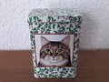 Weihnachts-Blechdose mit 2 Katzen