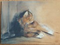 Kunst Postkarte Katzen Dédé Moser Katzen CATS don't belong - They belong to places