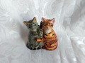 Salz und Pfeffer Katzen I