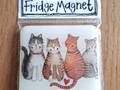 Alex Clark Magnet Katzen Marvellous Moggies