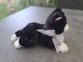 Schwarz-weisse kleine Plüschkatze Gund