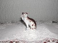 Kleine Katze Franklin Mint in Weiss-Braun 4