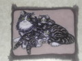 Katzenkissen I