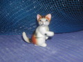 Miniatur kleine dreifarbige Katze sitzend Pfote hoch