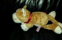 Plüschkatzen Kater NICI lV