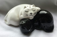 Salz und Pfeffer Katzen schwarz und weiss
