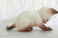 Kleine siameser Katze 5