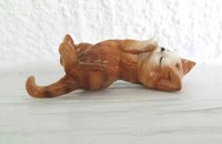 Petit chat sur le dos 7