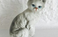 Kleine sitzende, graue Katze 8