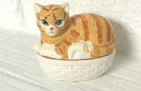 Dose rote, getigerte Katze im Korb I