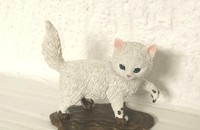 Weisses Kätzchen im Schlamm