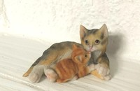 Katze mit rotem Kätzchen